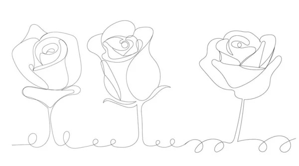 Розы Одной Линии Рисунок Вектор Изолированные — стоковый вектор