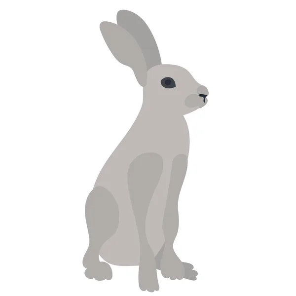 Lièvre Lapin Plat Sur Fond Blanc Isolé Vecteur — Image vectorielle