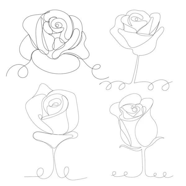 Розы Одна Линия Рисунок Вектор — стоковый вектор