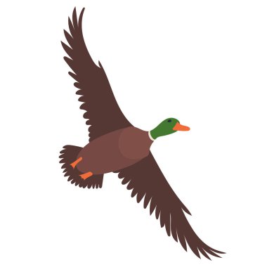 Beyaz arkaplan üzerinde ördek uçan düz tasarım izole, vektör