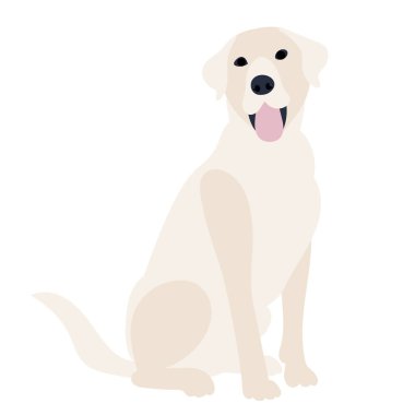 köpek bembeyaz arka planda yassı tasarım 