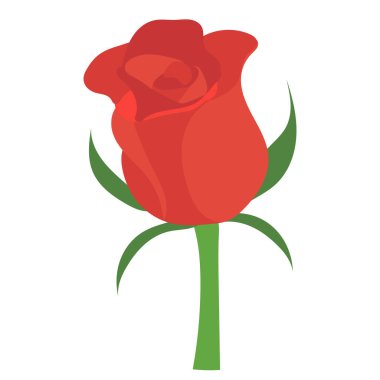 beyaz arkaplan üzerinde gül düz tasarımı 