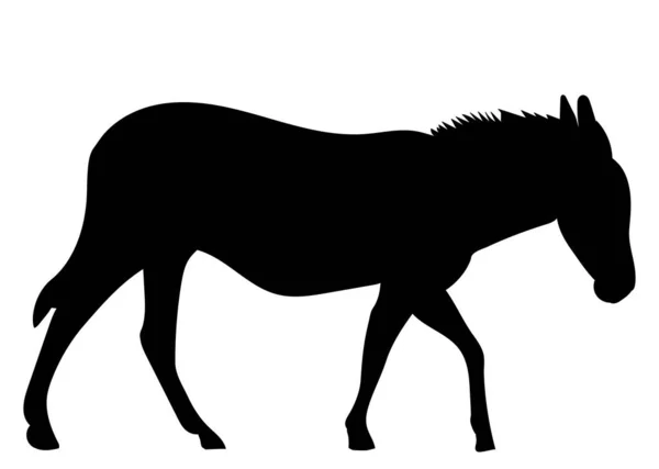 Donkey Silhouette White Background Vector — Stock Vector