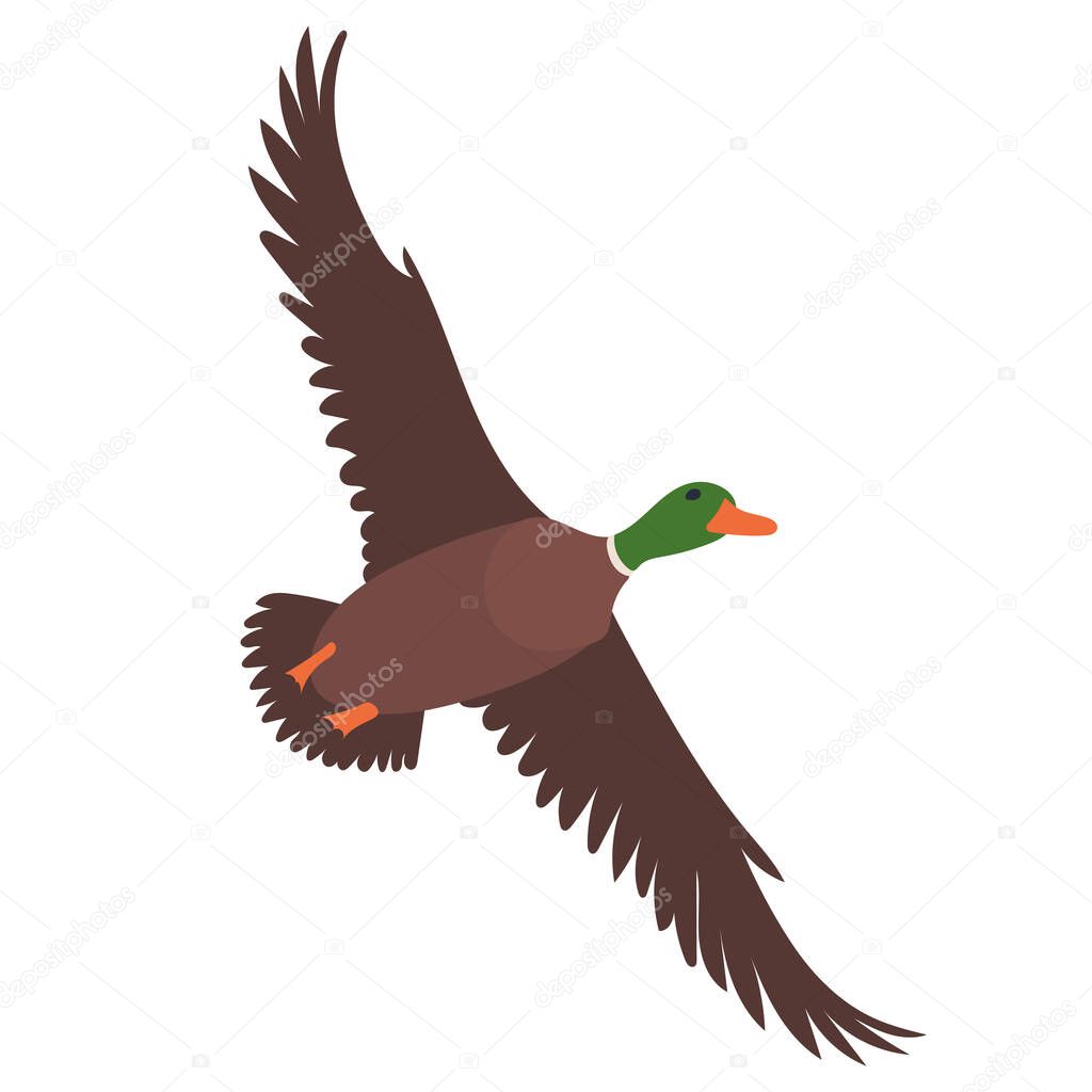 Duck flying flat design on white background isolated, vector