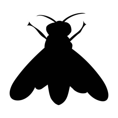 Arı silueti, beyaz arkaplanda, vektör