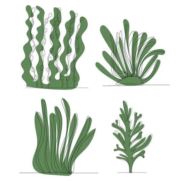 Algas Una Línea Contorno Sobre Fondo Abstracto — Archivo Imágenes Vectoriales