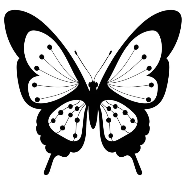 Vlinder Zwart Wit Silhouet — Stockvector