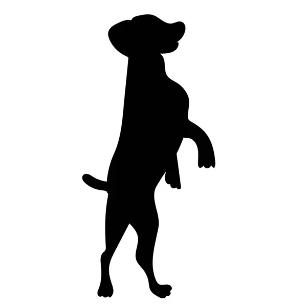 Hundesilhouette Auf Weißem Hintergrund Vektor — Stockvektor
