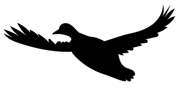 Duck Flying Silhouette White Background — Stock Vector