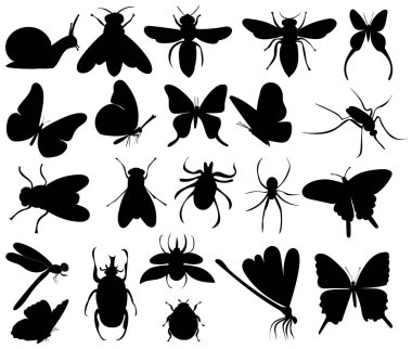 böcekler silueti beyaz arkaplanda, vektör olarak ayarladı