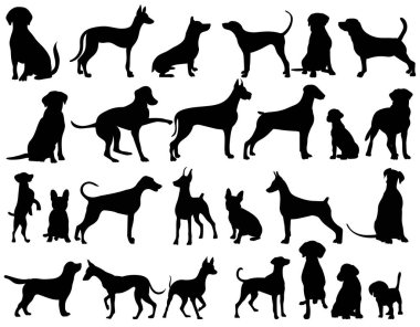 Köpekler silueti beyaz arkaplanda, vektör olarak ayarladı