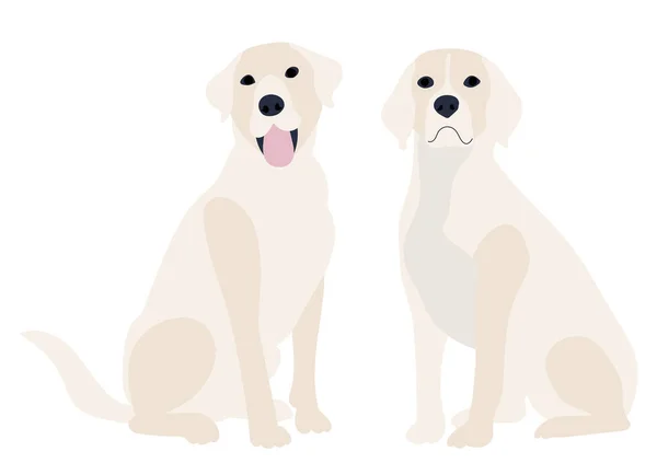 Labrador Pies Płaski Projekt Izolowany — Wektor stockowy
