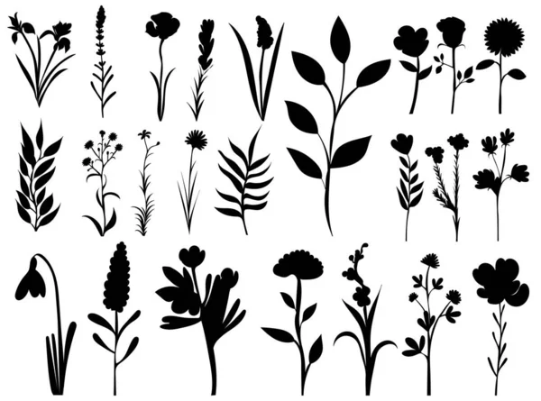 Plantas Flores Conjunto Silueta Sobre Fondo Blanco Vector — Archivo Imágenes Vectoriales