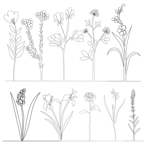 Цветы Растения Один Контур Линии Абстрактном Фоне — стоковый вектор