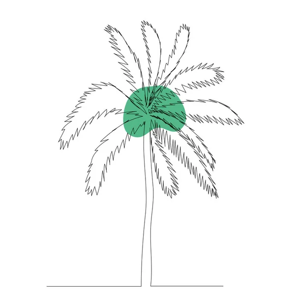 Контур Пальмового Дерева Одній Лінії Абстрактному Фоні Вектор — стоковий вектор