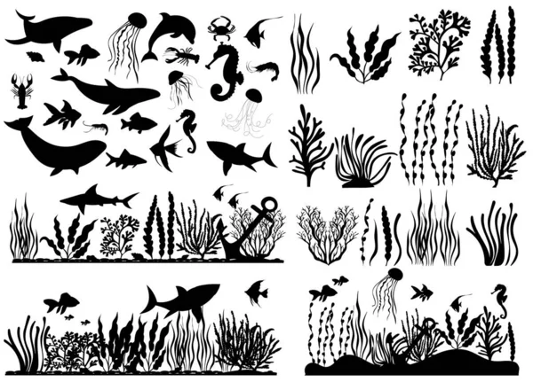 Zeedieren Vissen Algen Set Silhouet Witte Achtergrond Vector — Stockvector