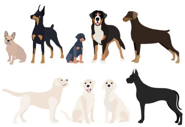 Köpekler düz tasarımı beyaz arkaplan ve vektöre göre ayarladılar