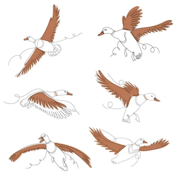 Patos Voladores Una Línea Esquema Conjunto Vector — Archivo Imágenes Vectoriales
