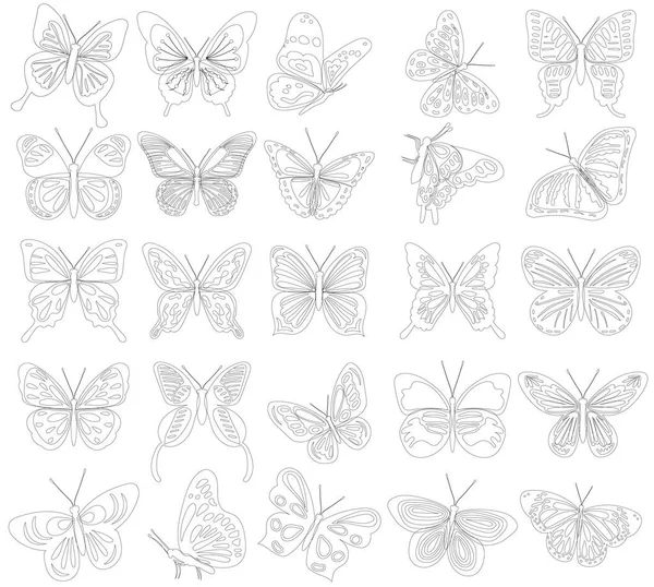 Schmetterling Skizze Schmetterling Umrisse Gesetzt — Stockvektor