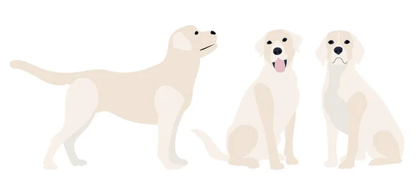 Σκυλί Επίπεδη Σχεδίαση Λευκό Φόντο Διάνυσμα — Διανυσματικό Αρχείο