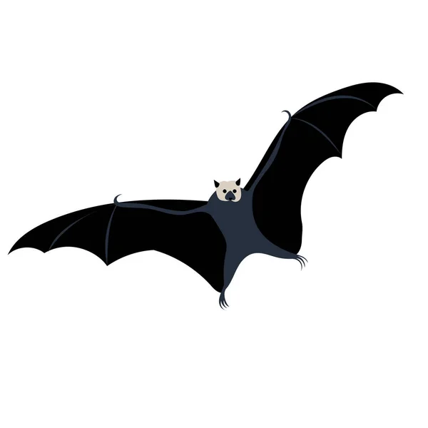 Morcego Design Plano Fundo Branco —  Vetores de Stock