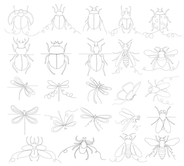 Hmyz Nastavit Obrys Jeden Řádek Vektor — Stockový vektor
