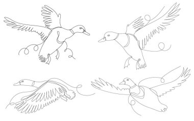 Uçan ördek bir çizgi ana hatları, çizim vektörü