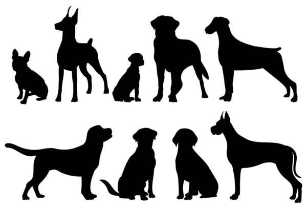 силуэт собачьего набора, на белом фоне, вектор