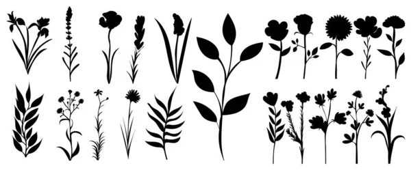 Plantas Flores Conjunto Silueta Sobre Fondo Blanco Vector — Archivo Imágenes Vectoriales