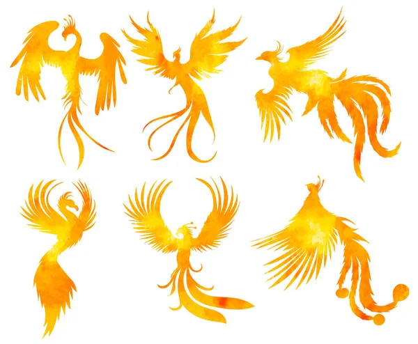 Phoenix Bird Set Aquarelle Silhouette Sur Fond Blanc Vecteur — Image vectorielle