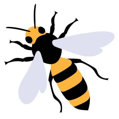 Beyaz arkaplan ve vektör üzerinde arı yassı tasarımı