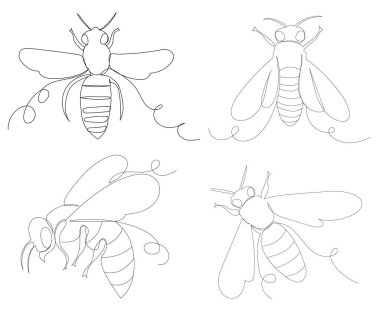 arılar bir çizgi çizim vektörünü belirler