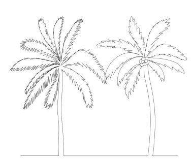 Palmiye ağacı bir çizgi çizim vektörü