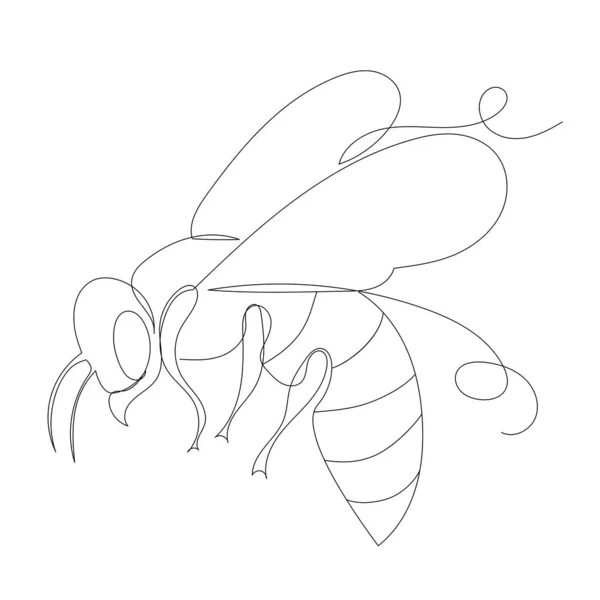Bee Contour One Line Sketch — Stock Vector