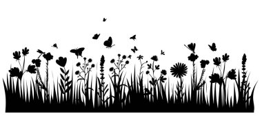 çimenler, bitkiler, siluet, beyaz arkaplan