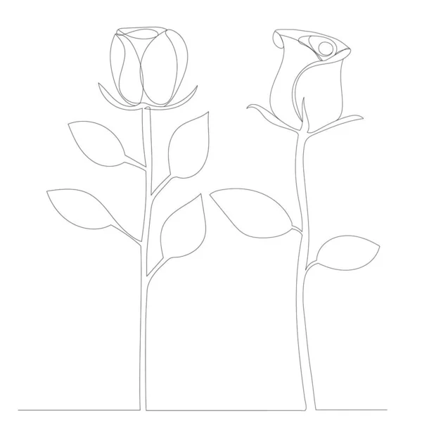 Roses Grandir Contour Une Seule Ligne Croquis — Image vectorielle