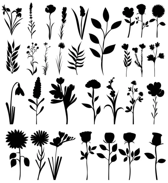 Plantas Flores Conjunto Silueta Sobre Fondo Blanco Vector — Vector de stock