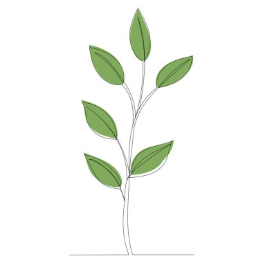 bir satırda bitki çizgisi, vektör