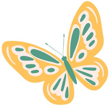 Beyaz arka planda kelebek ve böcek düz tasarımı