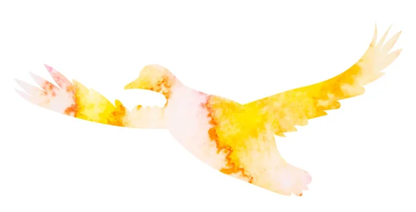 Létající Kachna Akvarel Silueta Bílém Pozadí Izolované — Stockový vektor