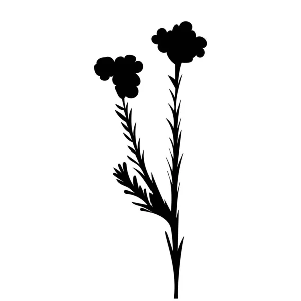 Fleur Silhouette Végétale Fond Blanc Vecteur — Image vectorielle