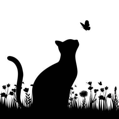 Kedi çimlerin üzerinde, siyah siluet, izole.