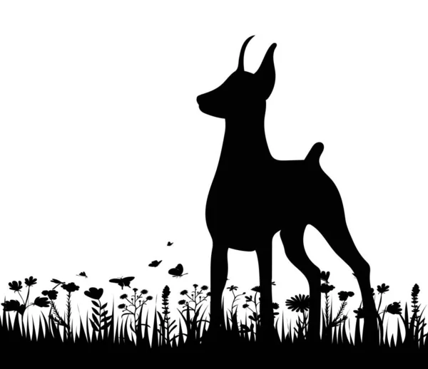 Chien Sur Herbe Silhouette Noire Isolé — Image vectorielle