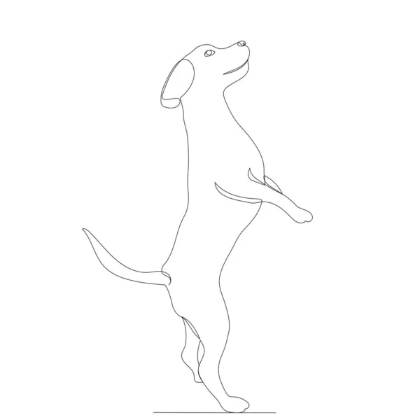 Hund Eine Linie Umreißen Skizze Vektor — Stockvektor