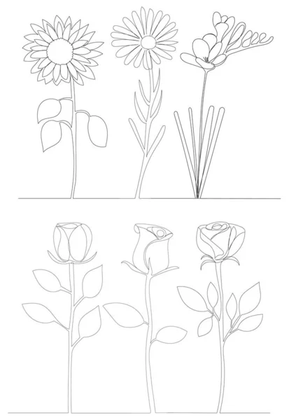 Розы Цветы Контур Одной Линии Эскиз Вектор — стоковый вектор