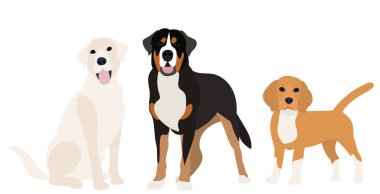 Köpekler beyaz arkaplanda düz tasarım, vektör