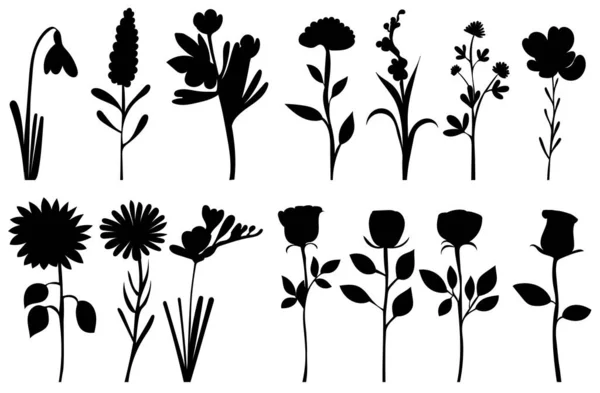 Flores Plantas Rosas Conjunto Silueta Negro Vector Aislado — Vector de stock