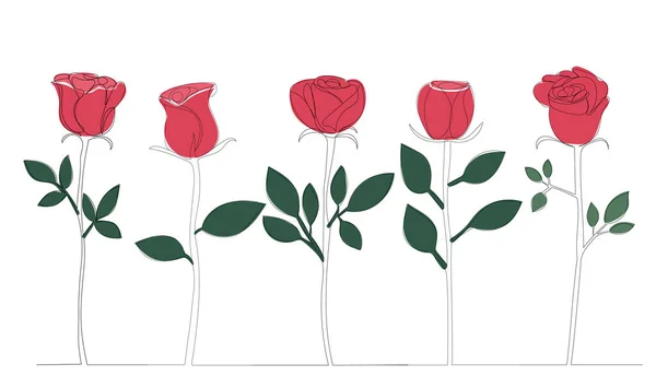 Rose Crescono Una Linea Disegno Isolato — Vettoriale Stock