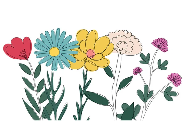 Çiçekler Bir Çizgi Çizer Izole — Stok Vektör