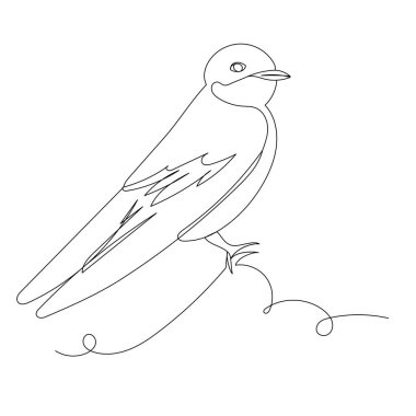 Kuş bir çizgi çizimi, dış hat, izole edilmiş, vektör
